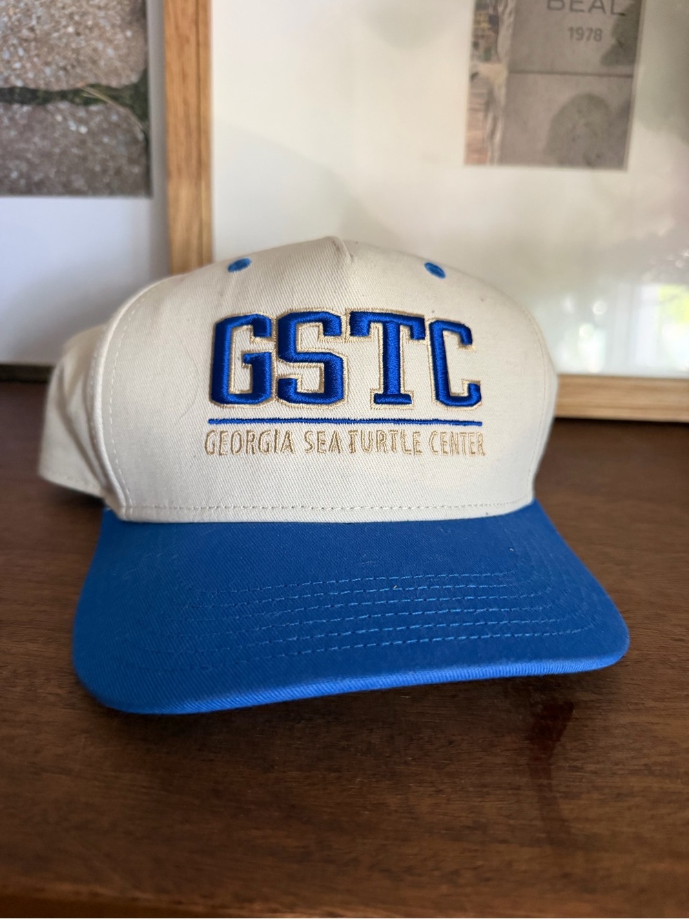 Legacy GSTC Georgia Sea Turtle Center Embroidered Adjustable Colorblock Cap